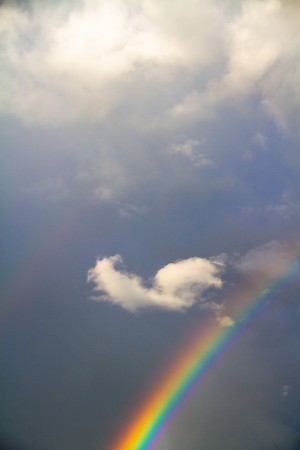 Responding to ‘Together in Love and Faith’